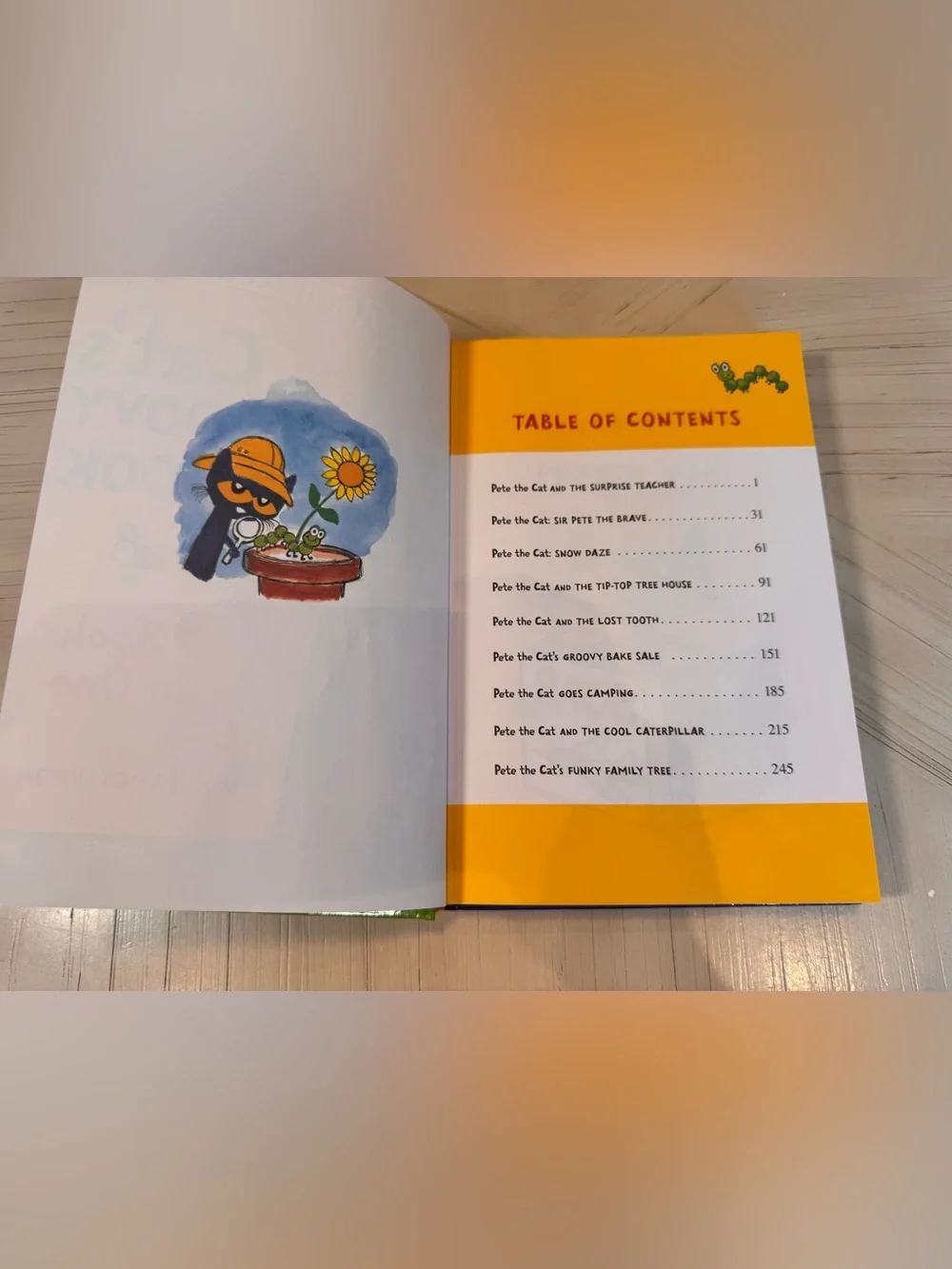 Pete the Cat’s Giant Groovy Book – 9 Books in 1 – Hardcover – NEW